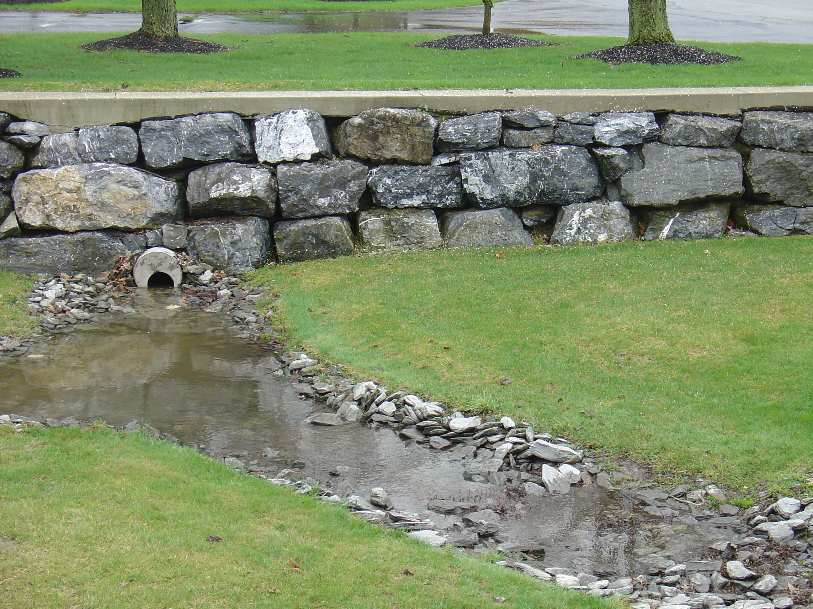 A drainage ditch collecting stormwater