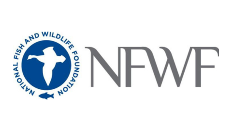 NFWF logo