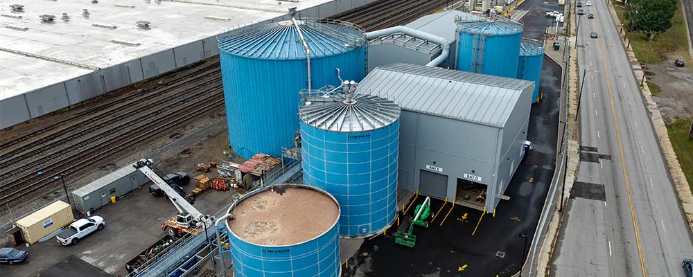 Synthica St. Bernard